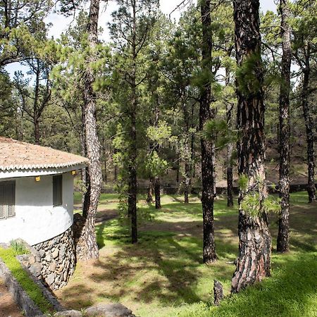 Vivienda Vacacional Finca La Redonda 埃尔帕索 外观 照片